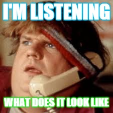 i'm listening | I'M LISTENING WHAT DOES IT LOOK LIKE | image tagged in i'm listening | made w/ Imgflip meme maker