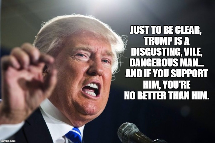 donald trump | JUST TO BE CLEAR, TRUMP IS A DISGUSTING, VILE, DANGEROUS MAN... AND IF YOU SUPPORT HIM, YOU'RE NO BETTER THAN HIM. | image tagged in donald trump | made w/ Imgflip meme maker