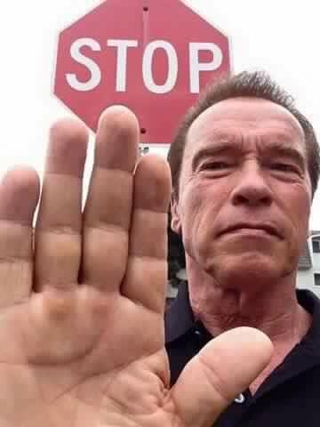 Arnie Stop Blank Template Imgflip