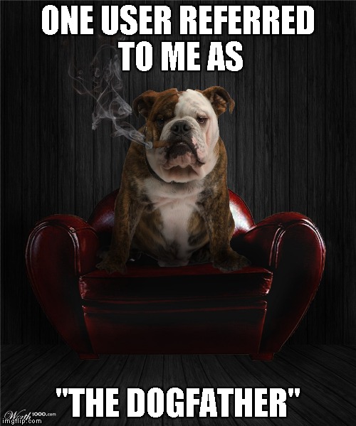 ONE USER REFERRED TO ME AS "THE DOGFATHER" | made w/ Imgflip meme maker