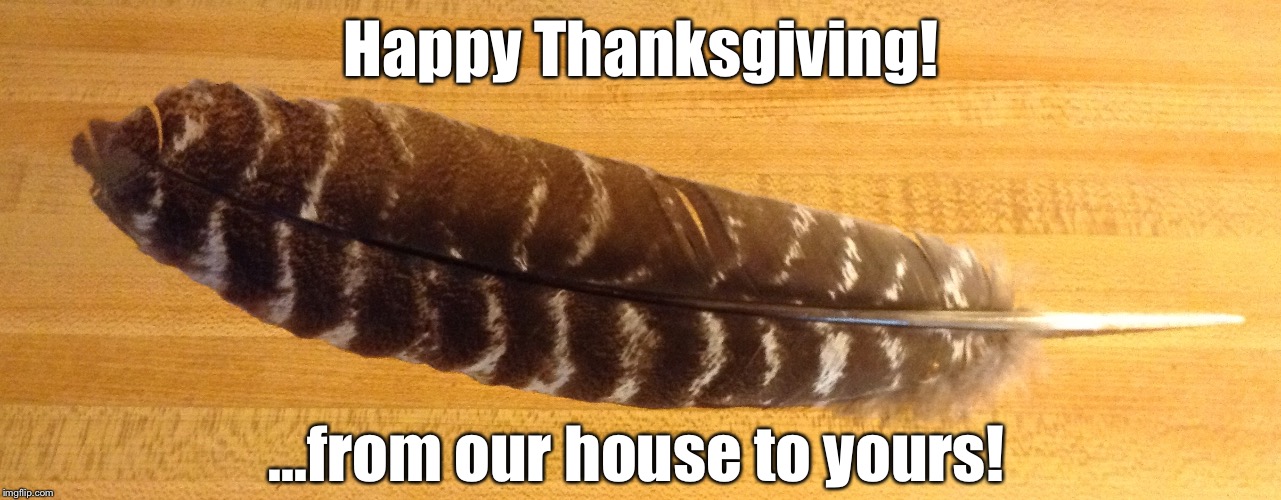 Happy Thanksgiving! ...from our house to yours! | image tagged in thanksgiving,turkeys | made w/ Imgflip meme maker