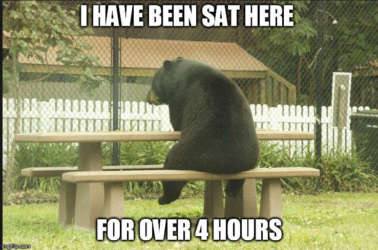 Trading Bear | I HAVE BEEN SAT HERE FOR OVER 4 HOURS | image tagged in funny memes,bear | made w/ Imgflip meme maker