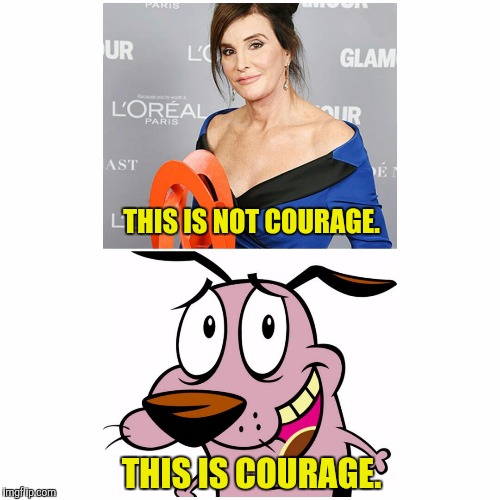 THIS IS NOT COURAGE. THIS IS COURAGE. | image tagged in bruce jenner,caitlyn jenner,jenner,courage the cowardly dog | made w/ Imgflip meme maker