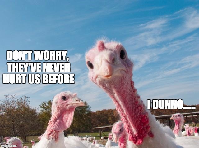DON'T WORRY, THEY'VE NEVER HURT US BEFORE I DUNNO...... | image tagged in turkeys,thanksgiving | made w/ Imgflip meme maker