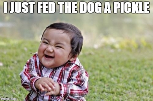 Evil Toddler | I JUST FED THE DOG A PICKLE | image tagged in memes,evil toddler | made w/ Imgflip meme maker