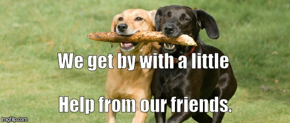 Dogs | Help from our friends. We get by with a little | image tagged in dogs | made w/ Imgflip meme maker