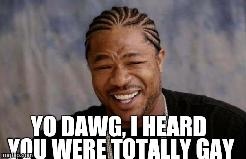 Yo Dawg Heard You Meme | YO DAWG, I HEARD YOU WERE TOTALLY GAY | image tagged in memes,yo dawg heard you | made w/ Imgflip meme maker