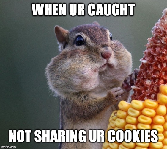 Thanksgiving Squirrel | WHEN UR CAUGHT NOT SHARING UR COOKIES | image tagged in thanksgiving squirrel | made w/ Imgflip meme maker