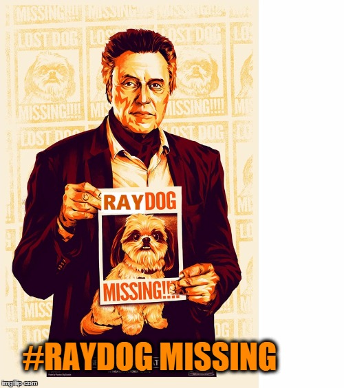 Raydog missing | #RAYDOG MISSING | image tagged in raydog missing | made w/ Imgflip meme maker