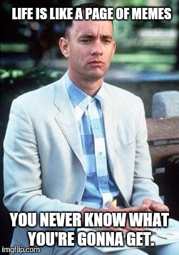 Forest gump | LIFE IS LIKE A PAGE OF MEMES YOU NEVER KNOW WHAT YOU'RE GONNA GET. | image tagged in forest gump | made w/ Imgflip meme maker