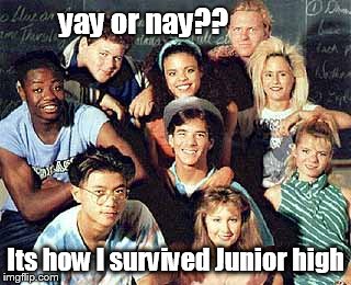 best years | yay or nay?? Its how I survived Junior high | image tagged in success kid | made w/ Imgflip meme maker