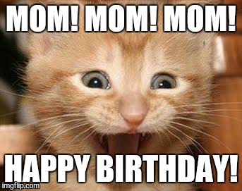 Excited Cat Meme | MOM! MOM! MOM! HAPPY BIRTHDAY! | image tagged in memes,excited cat | made w/ Imgflip meme maker