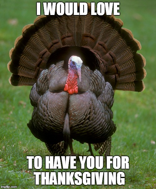 thanksgiving | I WOULD LOVE TO HAVE YOU FOR THANKSGIVING | image tagged in happy thanksgiving | made w/ Imgflip meme maker