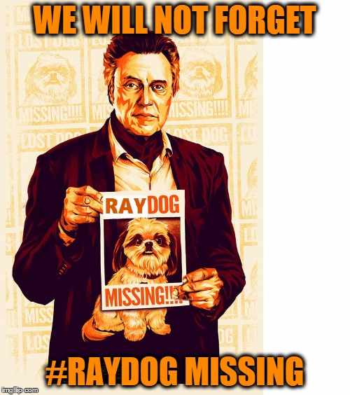 Raydog missing | WE WILL NOT FORGET #RAYDOG MISSING | image tagged in raydog missing | made w/ Imgflip meme maker