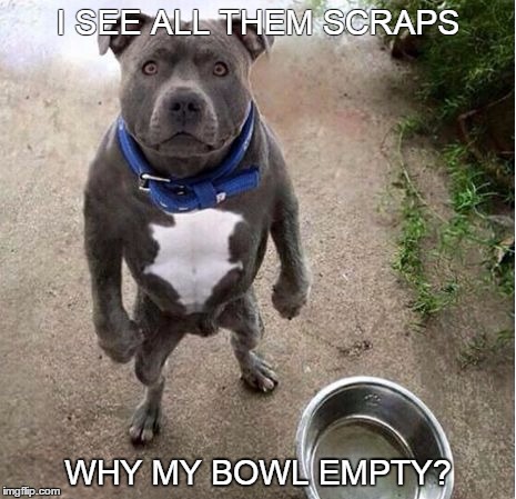 Hungry Dog | I SEE ALL THEM SCRAPS WHY MY BOWL EMPTY? | image tagged in hungry dog | made w/ Imgflip meme maker