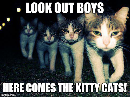 Wrong Neighboorhood Cats Meme | LOOK OUT BOYS HERE COMES THE KITTY CATS! | image tagged in memes,wrong neighboorhood cats | made w/ Imgflip meme maker