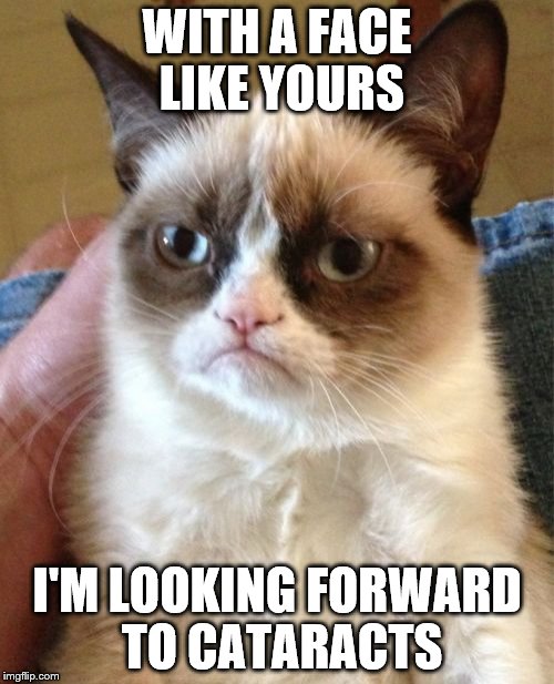 I can't even afford eye surgery... | WITH A FACE LIKE YOURS I'M LOOKING FORWARD TO CATARACTS | image tagged in memes,grumpy cat | made w/ Imgflip meme maker