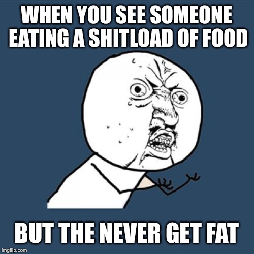 Y U No | WHEN YOU SEE SOMEONE EATING A SHITLOAD OF FOOD BUT THE NEVER GET FAT | image tagged in memes,y u no | made w/ Imgflip meme maker