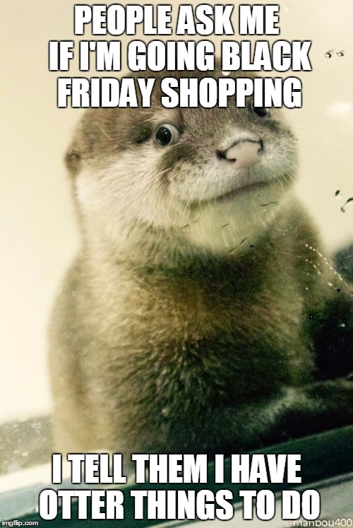 Derp otter  | PEOPLE ASK ME IF I'M GOING BLACK FRIDAY SHOPPING I TELL THEM I HAVE OTTER THINGS TO DO | image tagged in derp otter  | made w/ Imgflip meme maker