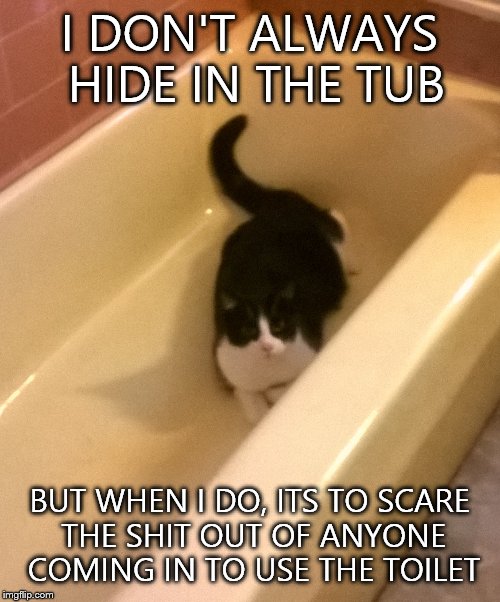 I DON'T ALWAYS HIDE IN THE TUB BUT WHEN I DO, ITS TO SCARE THE SHIT OUT OF ANYONE COMING IN TO USE THE TOILET | image tagged in luce | made w/ Imgflip meme maker