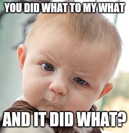 Because shit always happens on turkey day | YOU DID WHAT TO MY WHAT AND IT DID WHAT? | image tagged in memes,skeptical baby | made w/ Imgflip meme maker
