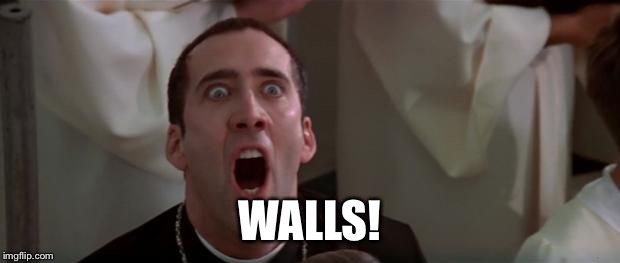nic cage 1 | WALLS! | image tagged in nic cage 1 | made w/ Imgflip meme maker