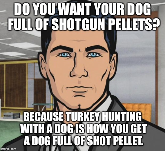 Archer Meme | DO YOU WANT YOUR DOG FULL OF SHOTGUN PELLETS? BECAUSE TURKEY HUNTING WITH A DOG IS HOW YOU GET A DOG FULL OF SHOT PELLET. | image tagged in memes,archer | made w/ Imgflip meme maker
