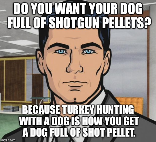 Archer | DO YOU WANT YOUR DOG FULL OF SHOTGUN PELLETS? BECAUSE TURKEY HUNTING WITH A DOG IS HOW YOU GET A DOG FULL OF SHOT PELLET. | image tagged in memes,archer | made w/ Imgflip meme maker