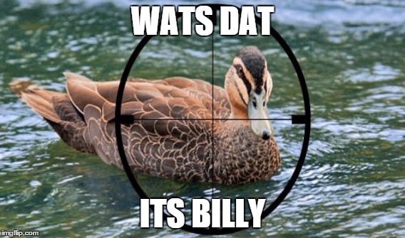 billy likes bullets | WATS DAT ITS BILLY | image tagged in duck,billy | made w/ Imgflip meme maker