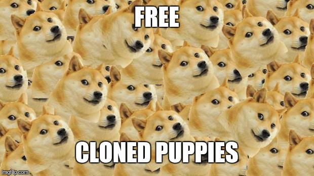 Multi Doge | FREE CLONED PUPPIES | image tagged in memes,multi doge | made w/ Imgflip meme maker