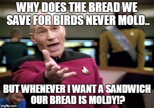 Picard Wtf | WHY DOES THE BREAD WE SAVE FOR BIRDS NEVER MOLD.. BUT WHENEVER I WANT A SANDWICH OUR BREAD IS MOLDY!? | image tagged in memes,picard wtf | made w/ Imgflip meme maker