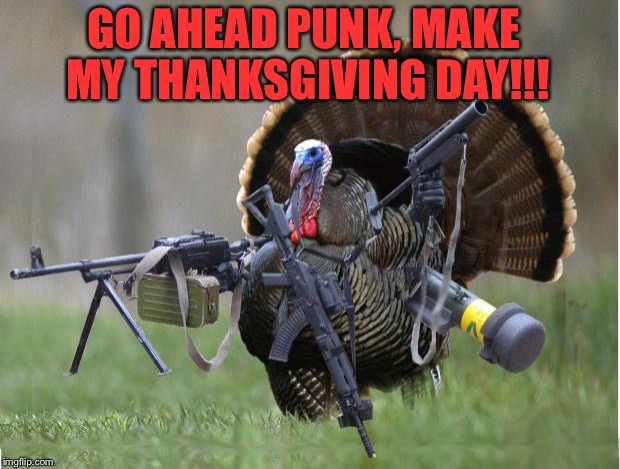 turkey | GO AHEAD PUNK, MAKE MY THANKSGIVING DAY!!! | image tagged in turkey | made w/ Imgflip meme maker