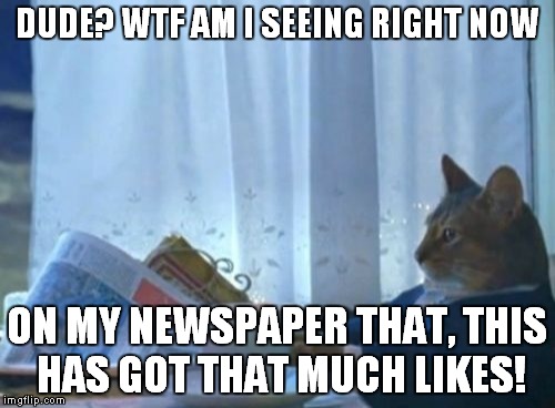 I Should Buy A Boat Cat | DUDE? WTF AM I SEEING RIGHT NOW ON MY NEWSPAPER THAT, THIS HAS GOT THAT MUCH LIKES! | image tagged in memes,i should buy a boat cat | made w/ Imgflip meme maker