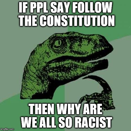 Philosoraptor | IF PPL SAY FOLLOW THE CONSTITUTION THEN WHY ARE WE ALL SO RACIST | image tagged in memes,philosoraptor | made w/ Imgflip meme maker