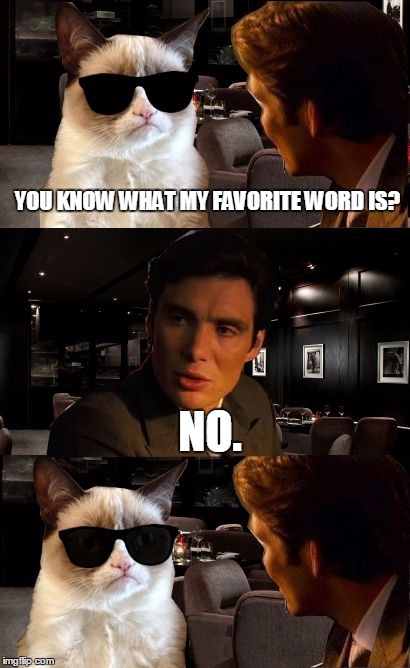 Hmmm.... | YOU KNOW WHAT MY FAVORITE WORD IS? NO. | image tagged in leonardo and grumpy cat,memes | made w/ Imgflip meme maker