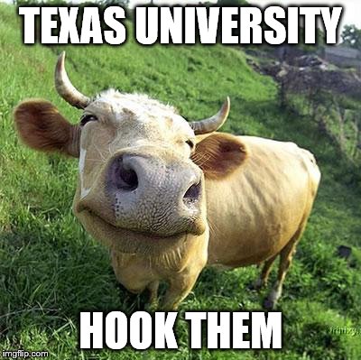 Cow | TEXAS UNIVERSITY HOOK THEM | image tagged in cow | made w/ Imgflip meme maker