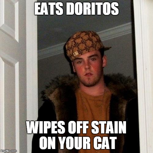 Scumbag Steve Meme | EATS DORITOS WIPES OFF STAIN ON YOUR CAT | image tagged in memes,scumbag steve | made w/ Imgflip meme maker