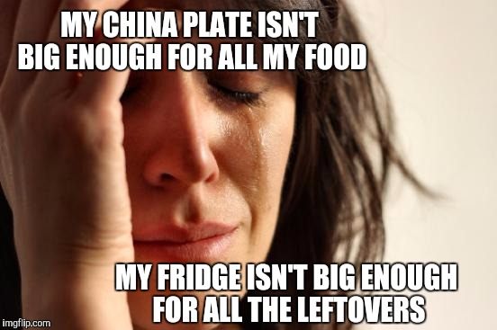 First World Problems | MY CHINA PLATE ISN'T BIG ENOUGH FOR ALL MY FOOD MY FRIDGE ISN'T BIG ENOUGH FOR ALL THE LEFTOVERS | image tagged in memes,first world problems | made w/ Imgflip meme maker