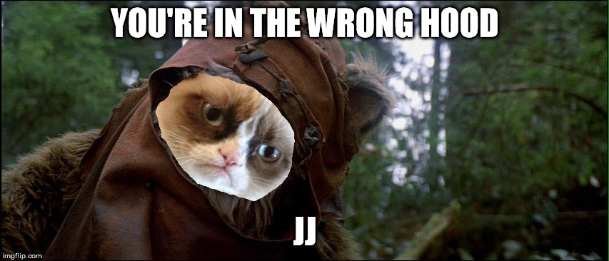 Grumpy Ewok tilted head | YOU'RE IN THE WRONG HOOD JJ | image tagged in grumpy ewok tilted head | made w/ Imgflip meme maker