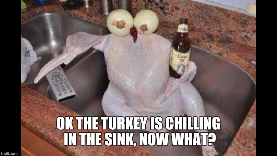 Turkey Chilling | OK THE TURKEY IS CHILLING IN THE SINK, NOW WHAT? | image tagged in turkey,thanksgiving | made w/ Imgflip meme maker