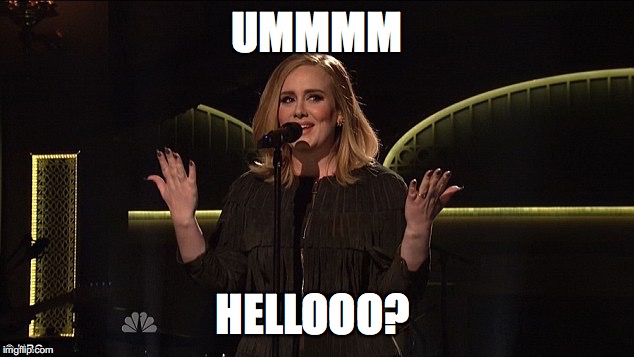 UMMMM HELLOOO? | image tagged in hello,adele,adele hello,snl | made w/ Imgflip meme maker