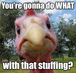 turkey | You're gonna do WHAT with that stuffing? | image tagged in turkey | made w/ Imgflip meme maker