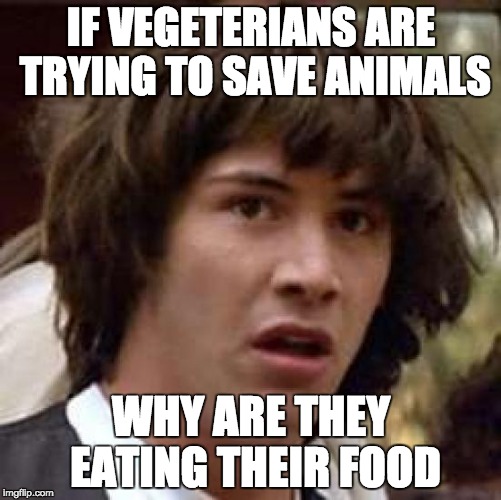 Conspiracy Keanu Meme | IF VEGETERIANS ARE TRYING TO SAVE ANIMALS WHY ARE THEY EATING THEIR FOOD | image tagged in memes,conspiracy keanu | made w/ Imgflip meme maker