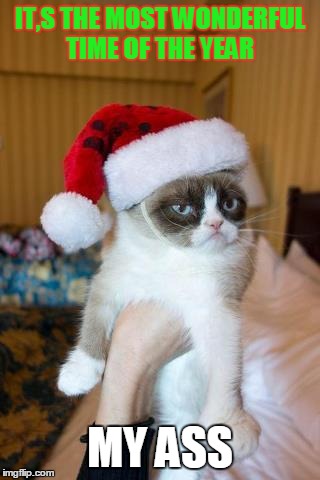 Grumpy Cat Christmas | IT,S THE MOST WONDERFUL TIME OF THE YEAR MY ASS | image tagged in memes,grumpy cat christmas,grumpy cat | made w/ Imgflip meme maker