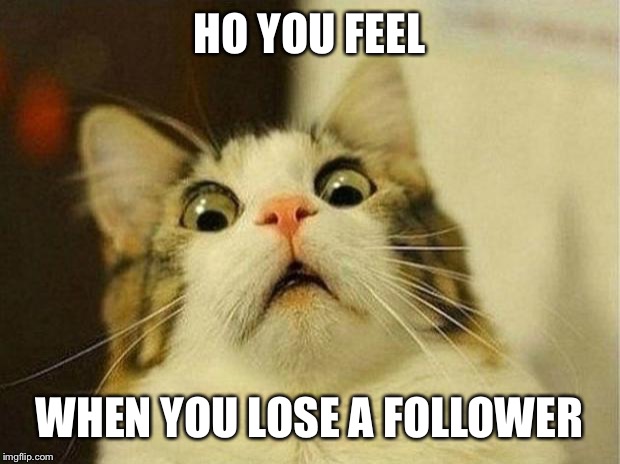 Scared Cat Meme | HO YOU FEEL WHEN YOU LOSE A FOLLOWER | image tagged in memes,scared cat | made w/ Imgflip meme maker