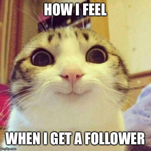 Smiling Cat | HOW I FEEL WHEN I GET A FOLLOWER | image tagged in memes,smiling cat | made w/ Imgflip meme maker