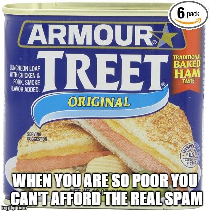 So poor you can't afford Spam | WHEN YOU ARE SO POOR YOU CAN'T AFFORD THE REAL SPAM | image tagged in spam,treet,poor | made w/ Imgflip meme maker