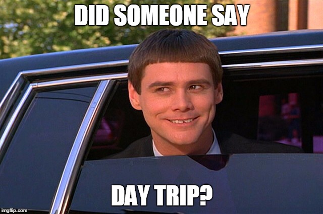 Did someone say whisky? | DID SOMEONE SAY DAY TRIP? | image tagged in did someone say whisky | made w/ Imgflip meme maker