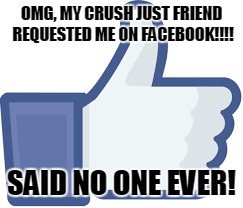 OMG, MY CRUSH JUST FRIEND REQUESTED ME ON FACEBOOK!!!! SAID NO ONE EVER! | image tagged in funny,true story,facebook,love,crush,true | made w/ Imgflip meme maker