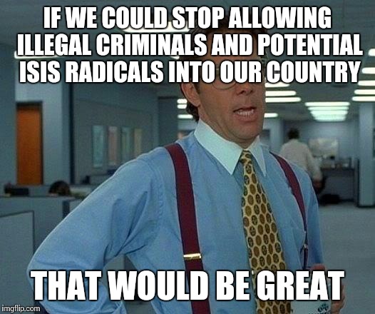 That Would Be Great Meme | IF WE COULD STOP ALLOWING ILLEGAL CRIMINALS AND POTENTIAL ISIS RADICALS INTO OUR COUNTRY THAT WOULD BE GREAT | image tagged in memes,that would be great | made w/ Imgflip meme maker